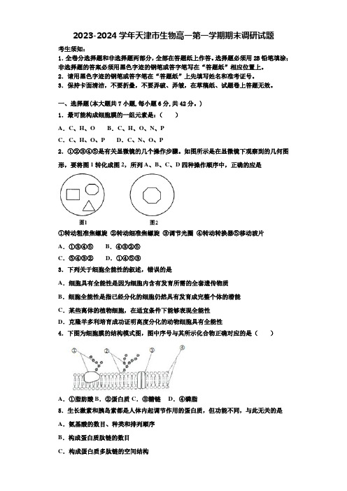 2023-2024学年天津市生物高一第一学期期末调研试题含解析