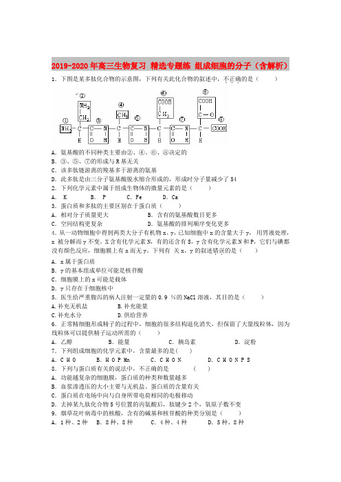 2019-2020年高三生物复习 精选专题练 组成细胞的分子(含解析)