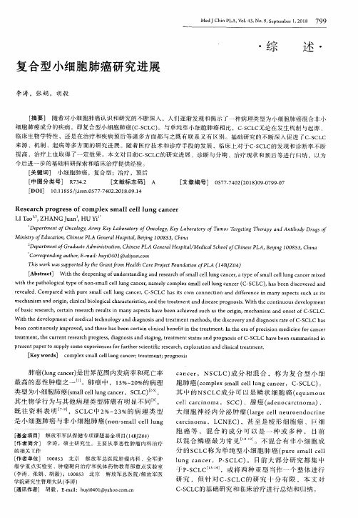 复合型小细胞肺癌研究进展