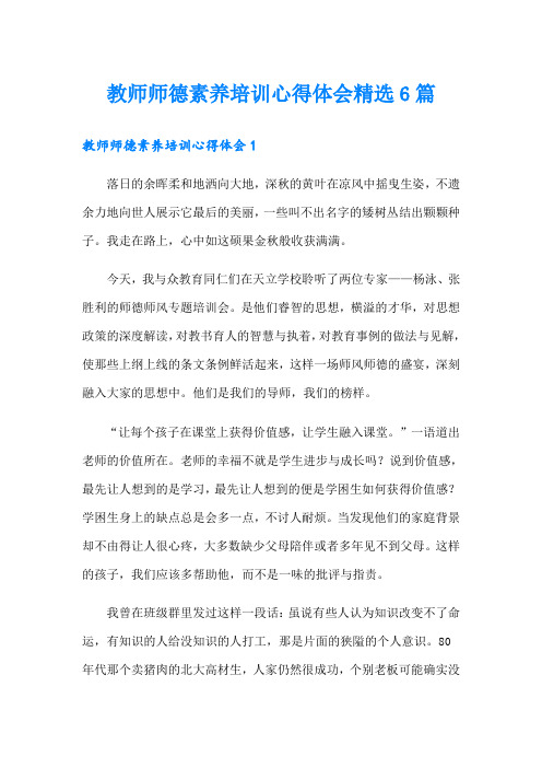 教师师德素养培训心得体会精选6篇