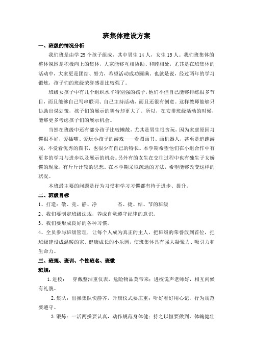 班集体建设方案
