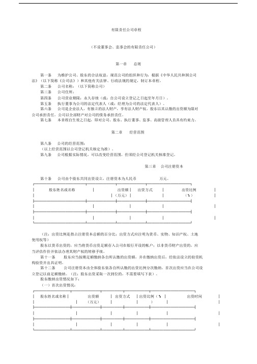 有限责任公司章程不设董事会监事会.docx