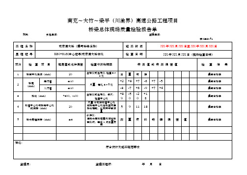 桥梁现场质量检验报告单用表