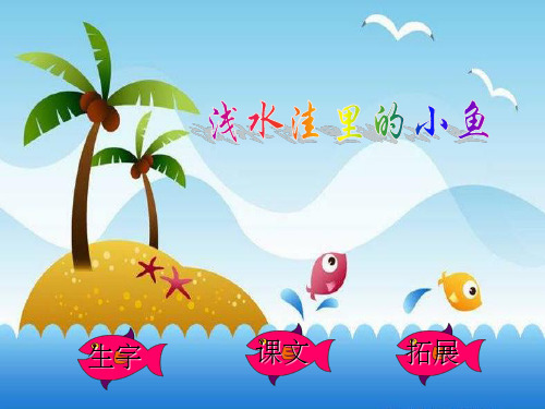 二年级语文上册 28.浅水洼里的小鱼课件 新人教版