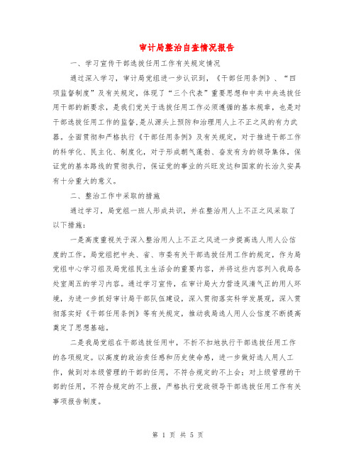审计局整治自查情况报告