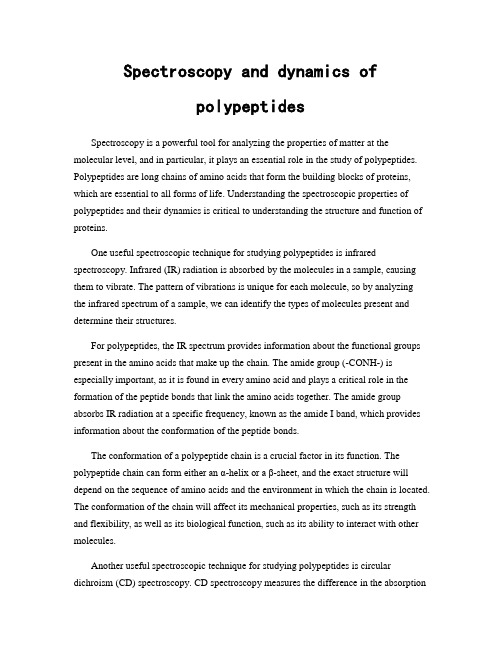 Spectroscopy and dynamics of polypeptides