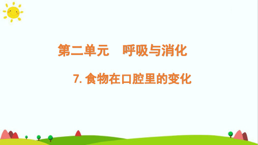 教科版小学科学四年级上册第二单元呼吸与消化《食物在口腔里的变化》精品课件