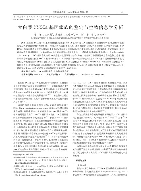 大白菜YUCCA基因家族的鉴定与生物信息学分析