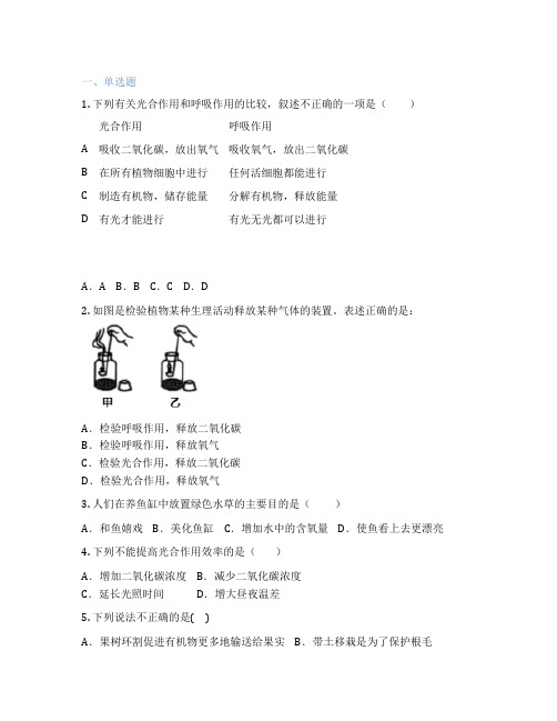 人教版生物 七年级上册 第五章 绿色植物与生物圈中的碳—氧平衡 课后练习题