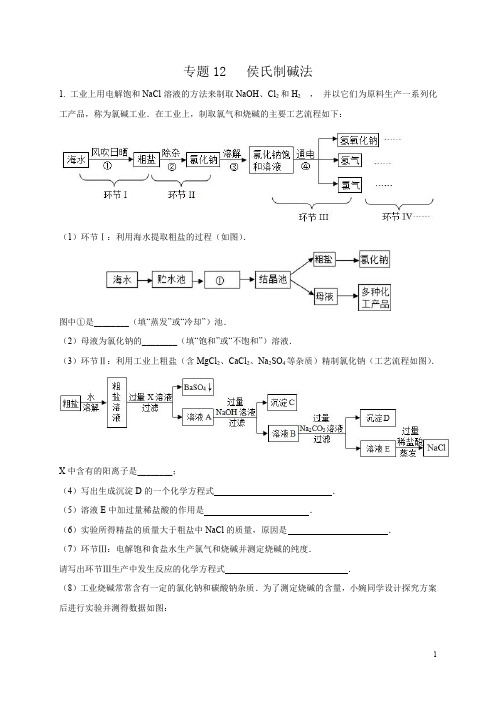 专题12 侯氏制碱法(教师版)-2020化学《满分中考·重难点题型》精准练(九下)