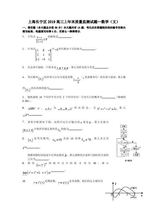 上海长宁区2019高三上年末质量监测试题--数学(文)