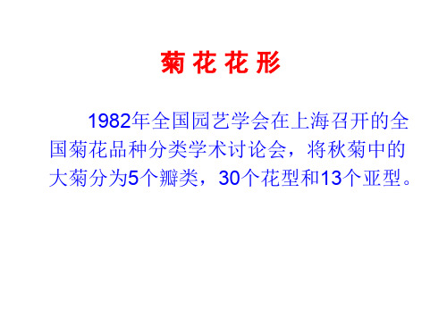 菊花花形