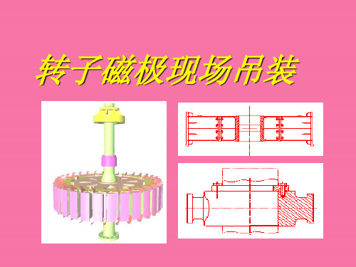 发电机现场吊装磁极ppt课件