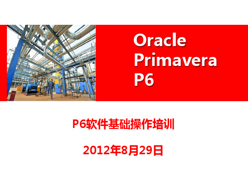 Oracle Primavera P6培训