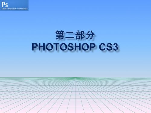 PhotoshopCS3-1(2010)