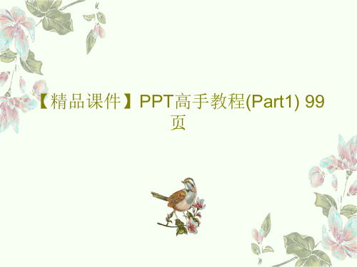 【精品课件】PPT高手教程(Part1) 99页共101页文档