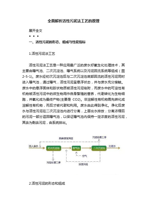 全面解析活性污泥法工艺的原理