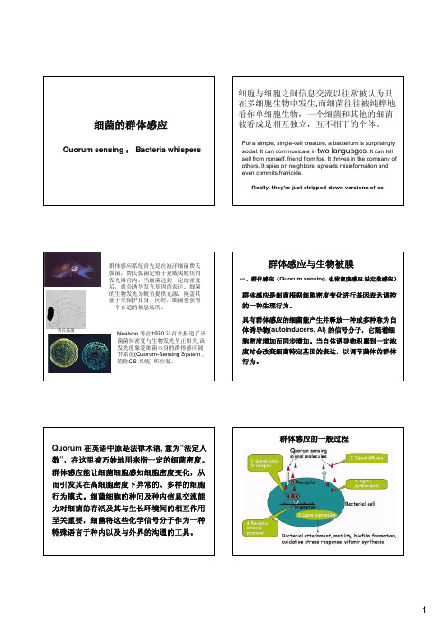 群体感应