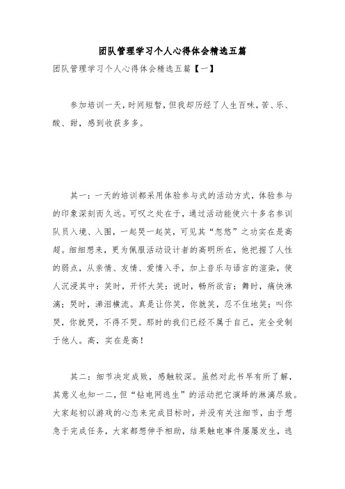 团队管理学习个人心得体会精选五篇