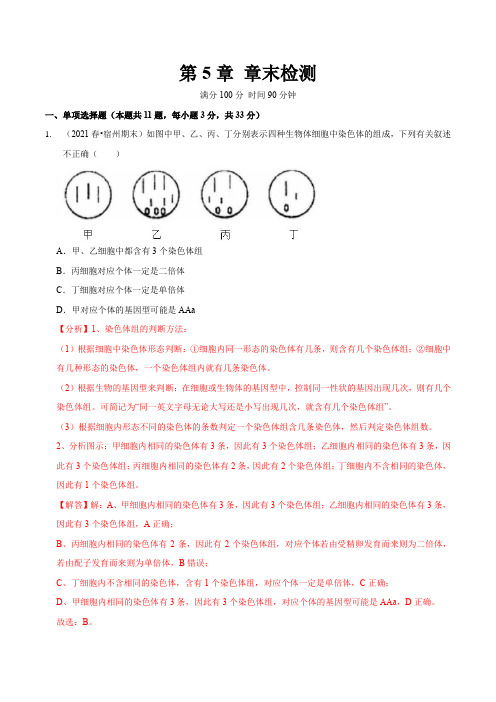 第5章 章节检测-2024-2025学年高一生物同步精讲系列(2019人教版必修一)