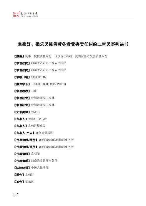 袁燕好、梁乐民提供劳务者受害责任纠纷二审民事判决书