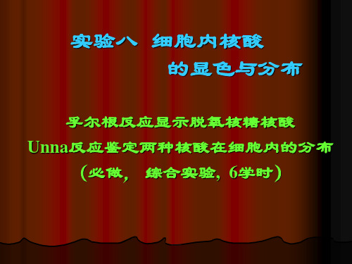 南开大学细胞生物学实验-实验八细胞内核酸的分布与显示