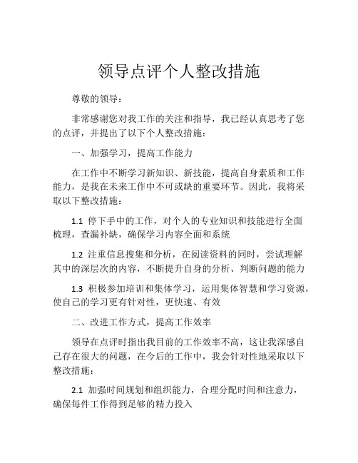 领导点评个人整改措施