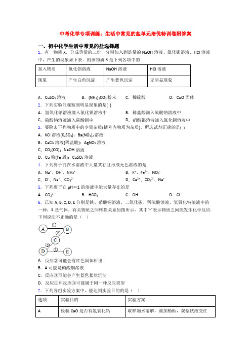 中考化学专项训练：生活中常见的盐单元培优特训卷附答案