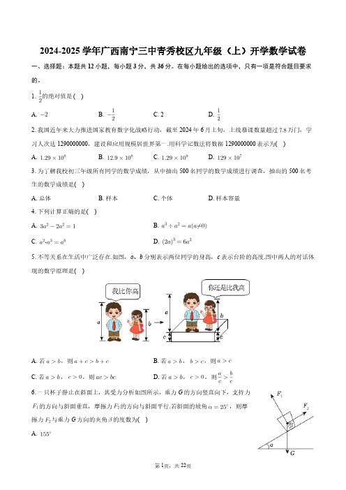 2024-2025学年广西南宁三中青秀校区九年级(上)开学数学试卷+答案解析