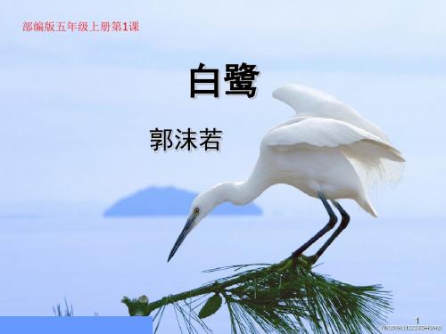 2019年部编版五年级上册第1课白鹭课件17张.ppt