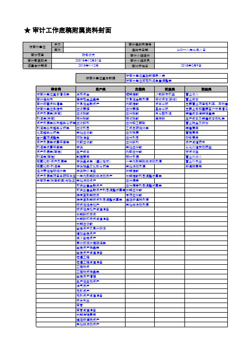 某上市公司内部审计底稿套表(有公式、链接)