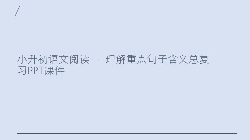 小升初语文阅读---理解重点句子含义总复习PPT课件