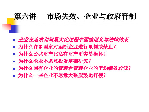 华科张克中-管理经济学-第六讲政府管制