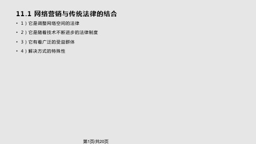 第11章-网络营销中的法律问题PPT课件