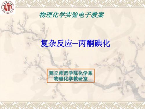 商丘师范学院化学系物理化学教研室(精)