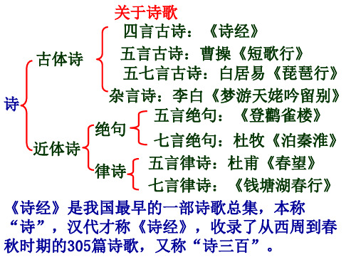 《诗经·式微·子衿》优秀课件