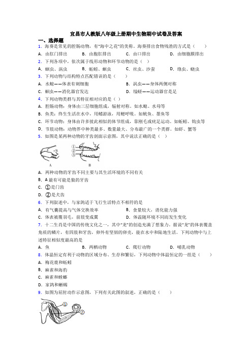 宜昌市人教版八年级上册期中生物期中试卷及答案