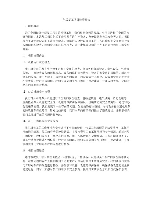 年后复工项目检查报告