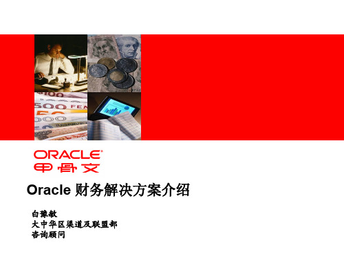 Oracle 财务解决方案介绍