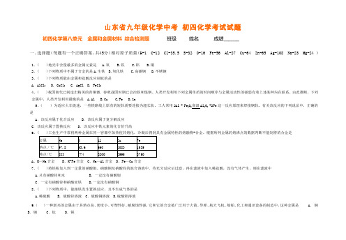 山东省九年级化学中考 初四化学考试试题精选