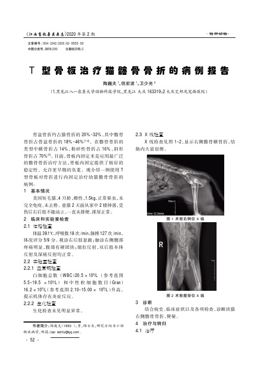 T型骨板治疗猫髂骨骨折的病例报告