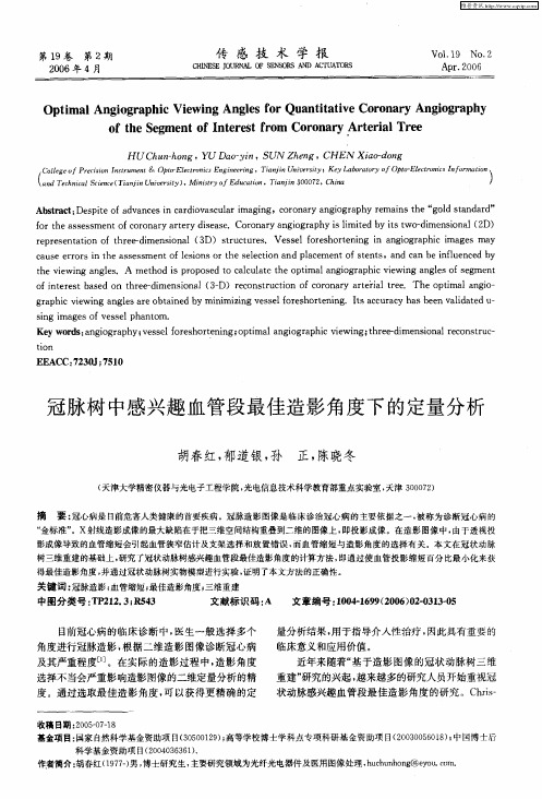 冠脉树中感兴趣血管段最佳造影角度下的定量分析