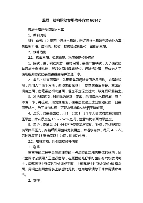 混凝土结构露筋专项修补方案66947