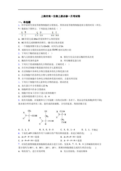 上海市高一生物上册必修一月考试卷