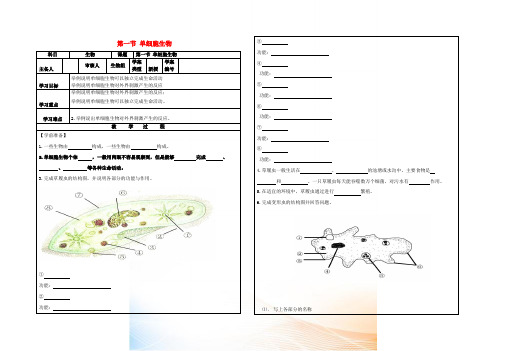 七年级生物上册 2.4.3 单细胞生物导学案 苏教版