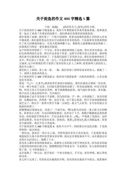 关于捉鱼的作文400字精选5篇