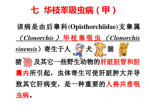 华支睾吸虫病