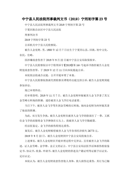 最新-中宁县人民法院刑事裁判文书(2019)宁刑初字第23号 精品