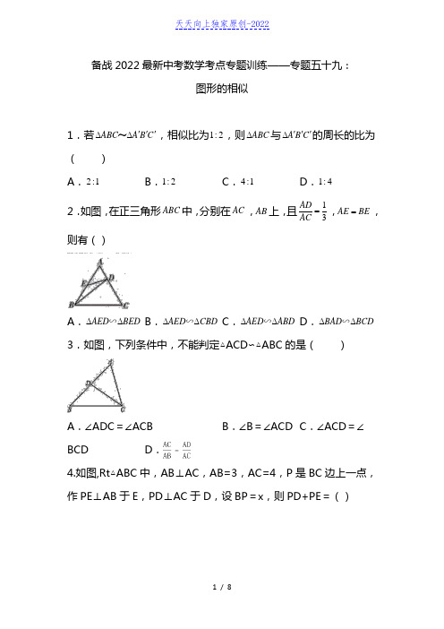 2022年九年级中考数学考点专题训练——专题五十九：图形的相似(含答案)