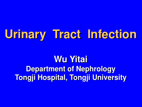 Urinary Tract Infection(尿路感染全英文)_图文